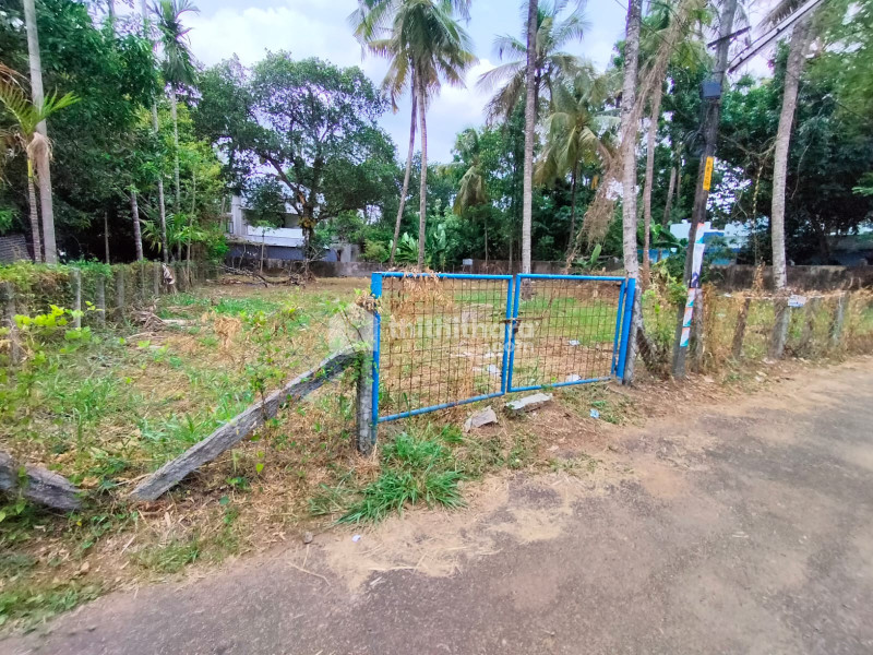  Land For Sale In Kuttanellur Thrissur 