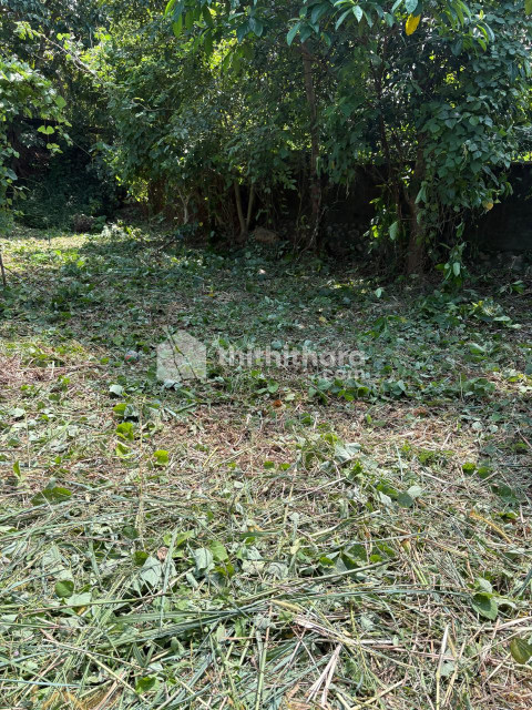 Land For Sale In Velappaya Thrissur