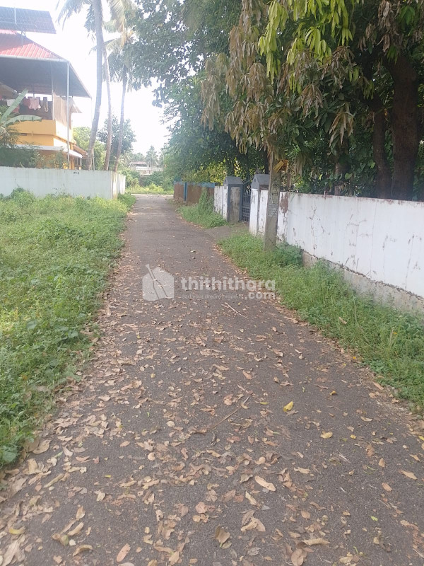Land For Sale In Chembukkav Thrissur