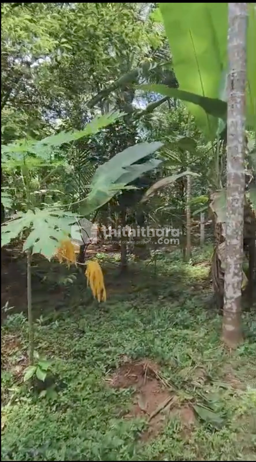 Land For Sale In Mannuthy Koottala