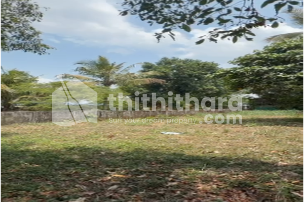 Land For Sale In Madakkathara Thrissur