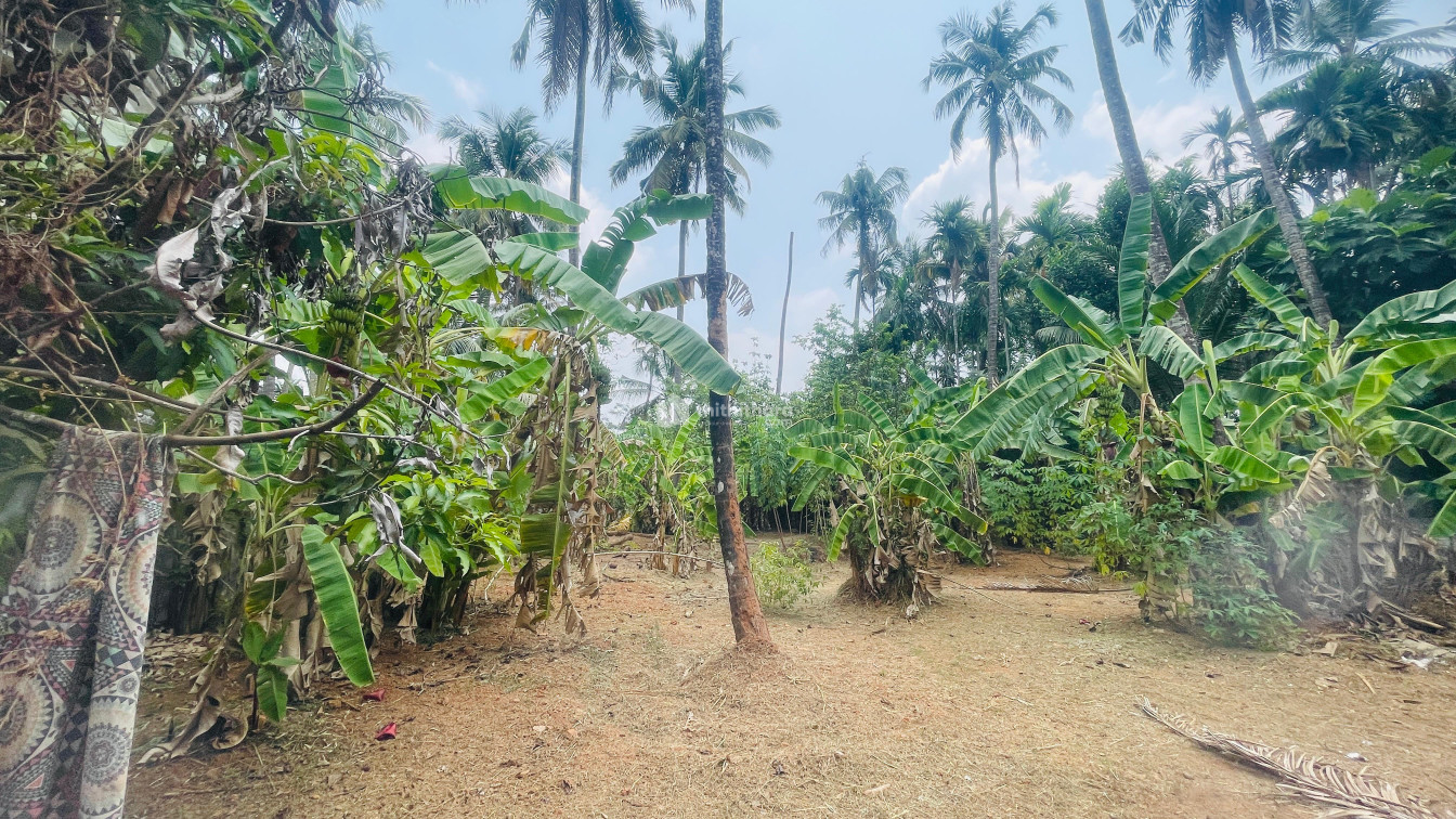 Land For Sale In Chiyyaram Thrissur