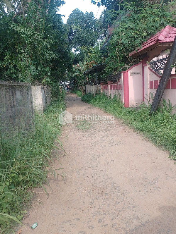 Land For Sale In Pamboor Thrissur