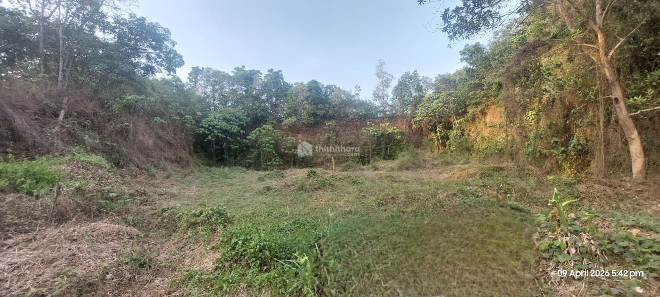 Land For Rent In Kunnathunad Erankulam 