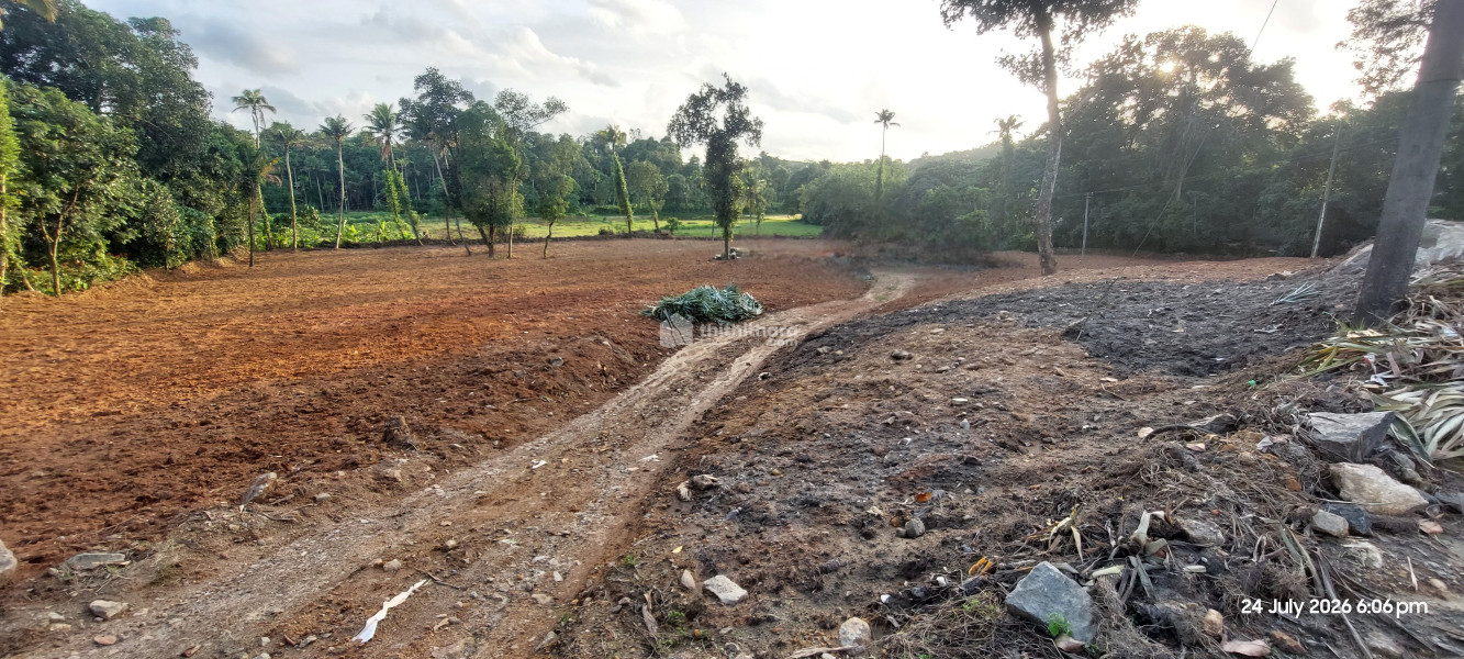 Land For Rent In Pattimattom Erankulam 
