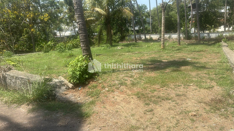  Land For Sale In Aranattukara Thrissur
