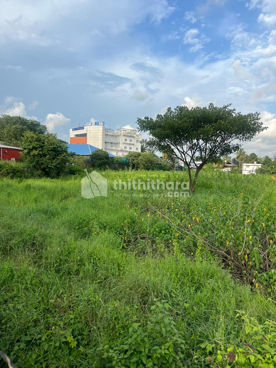 Land For Sale In Kolothumpadam ,Thrissur