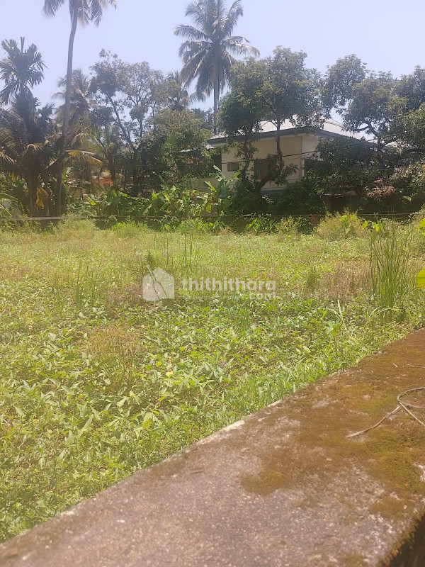 Land For Sale In Koorkkenchery Thrissur