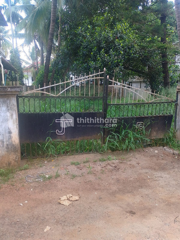 Land For Sale In Nellikunnu Thrissur