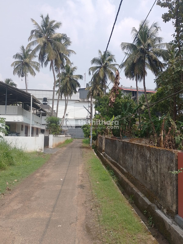Land For Sale In Kuttanellur Thrissur