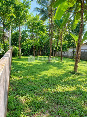 Land For Sale In Olari Thrissur