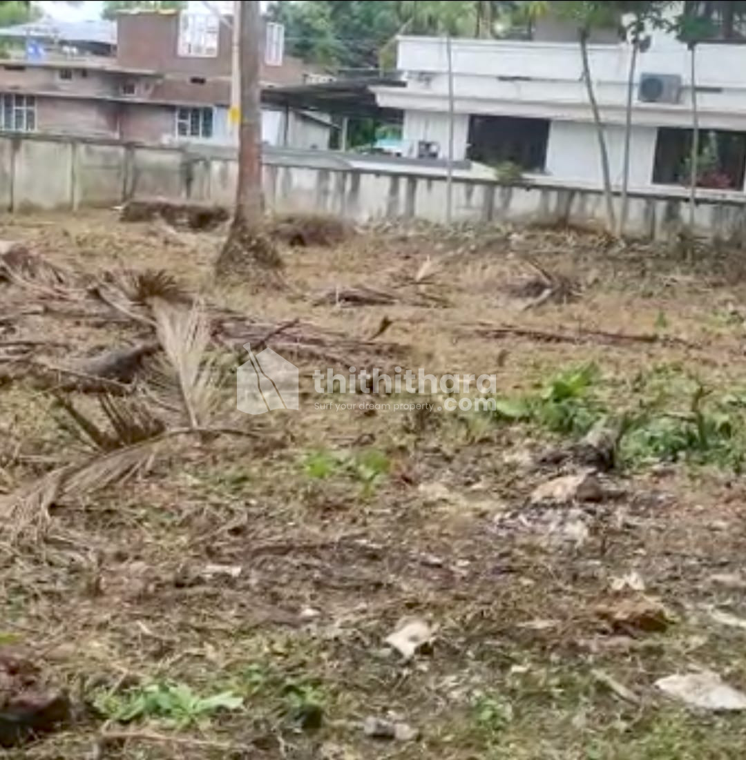  Land For Sale In Kalathode Thrissur