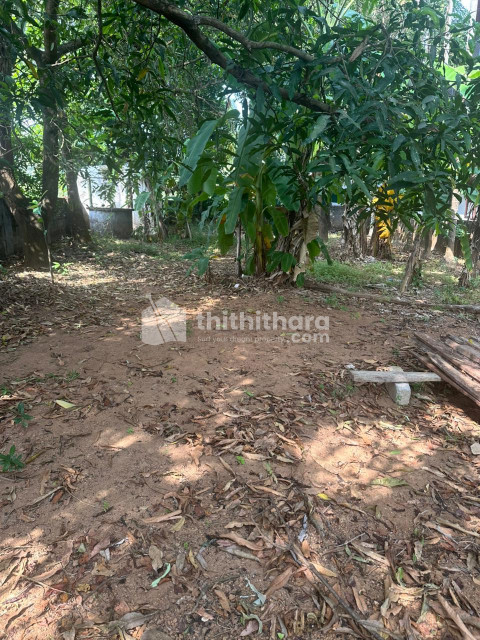  Plot For Sale In Chembukavu Thrissur