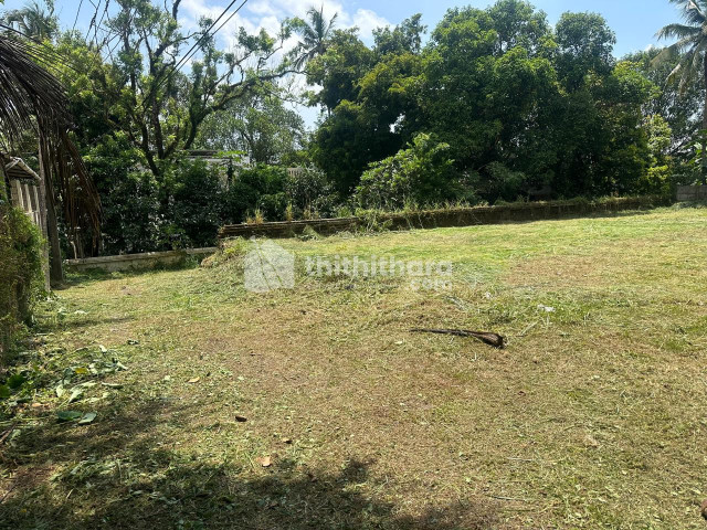  Land For Sale In Kuriachira Thrissur