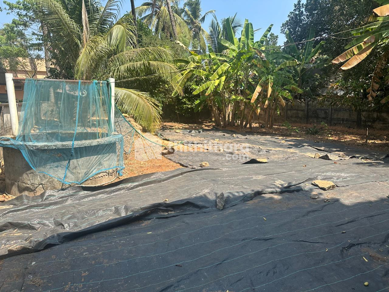 Land For Sale In Kanimangalam Thrissur 