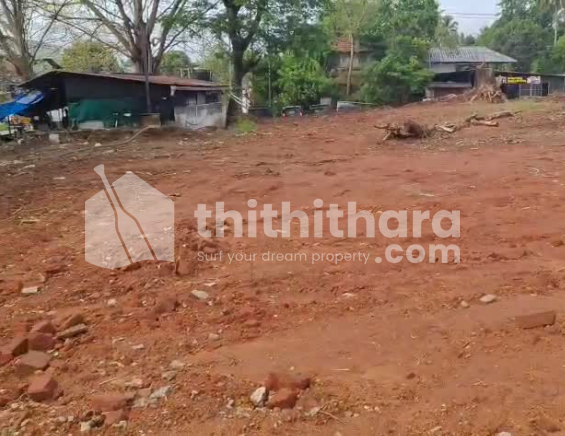 Commerical Land  For Sale In Mannuthy Thrissur