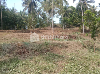 Land For Sale In Mankada Malappuram