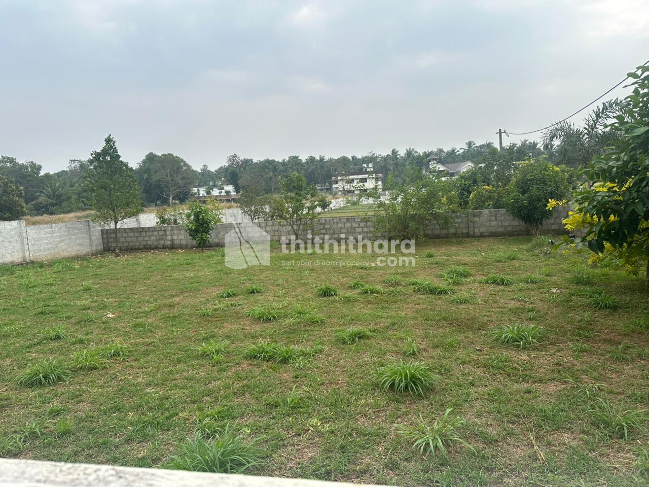 Plots For Sale In  Thrissur