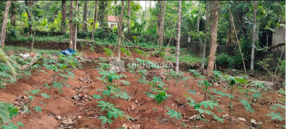 Land For Sale In Kothamangalam Ernakulam