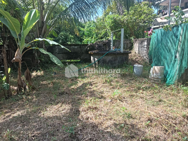 Land For Sale In Kuttoor Thrissur 