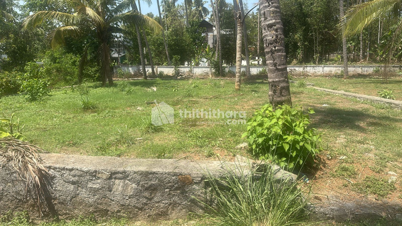 Land For Sale In Aranattukara Thrissur