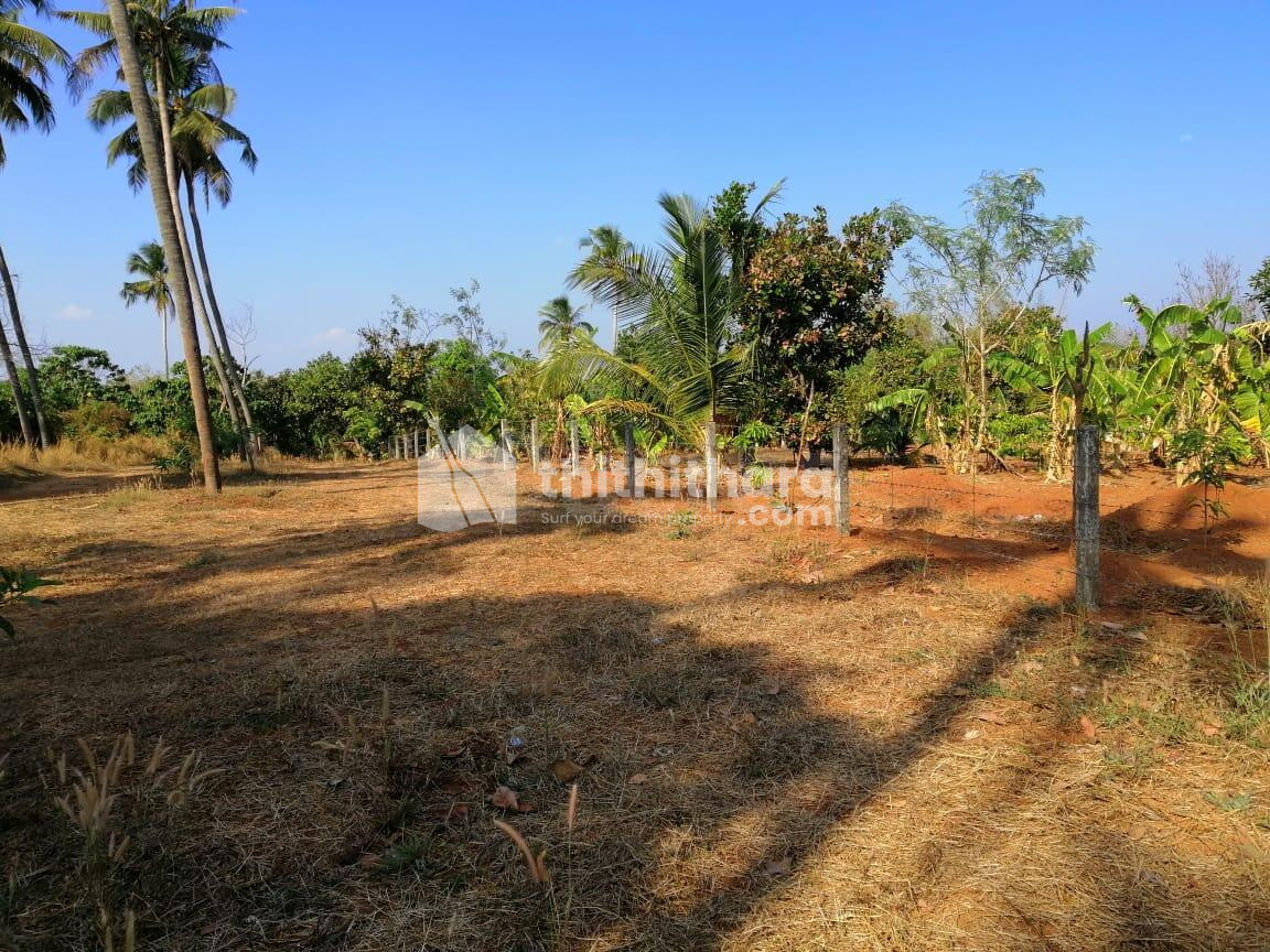 Plots For Sale In Kaiparamb Thrissur