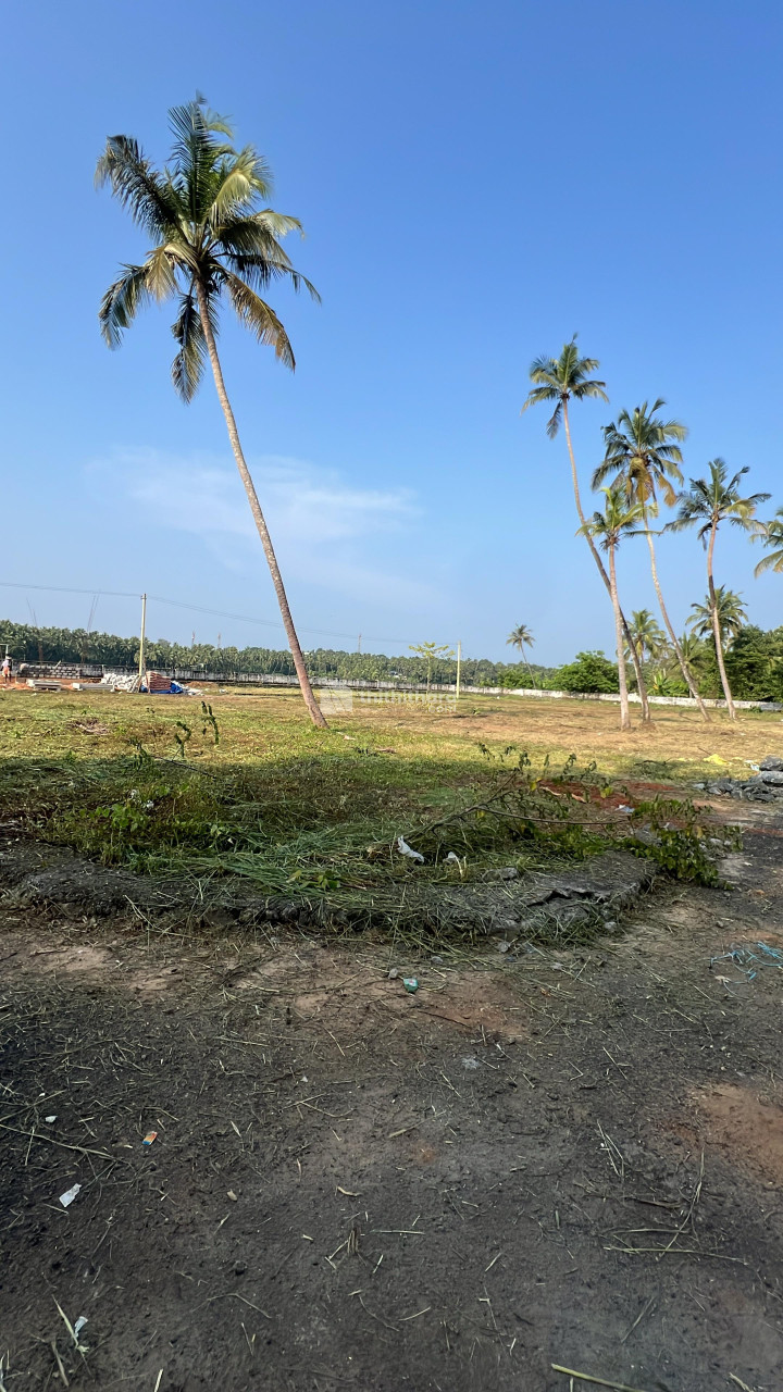 Land For Sale In Mundur Thrissur