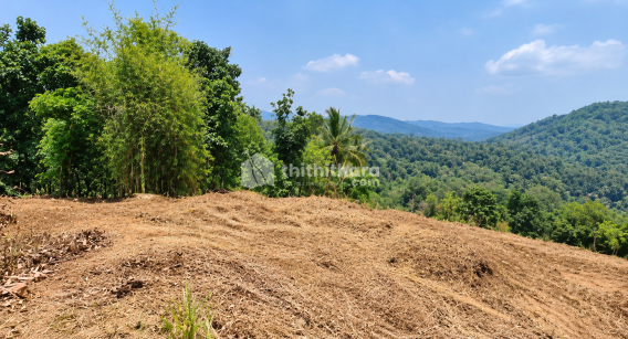  Land For Sale In Arur Malappuram