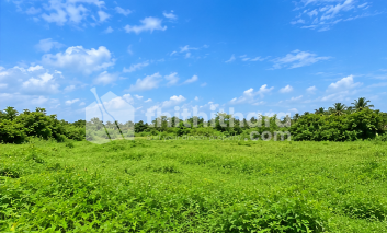 Land For Sale In Kolothumpadam Thrissur