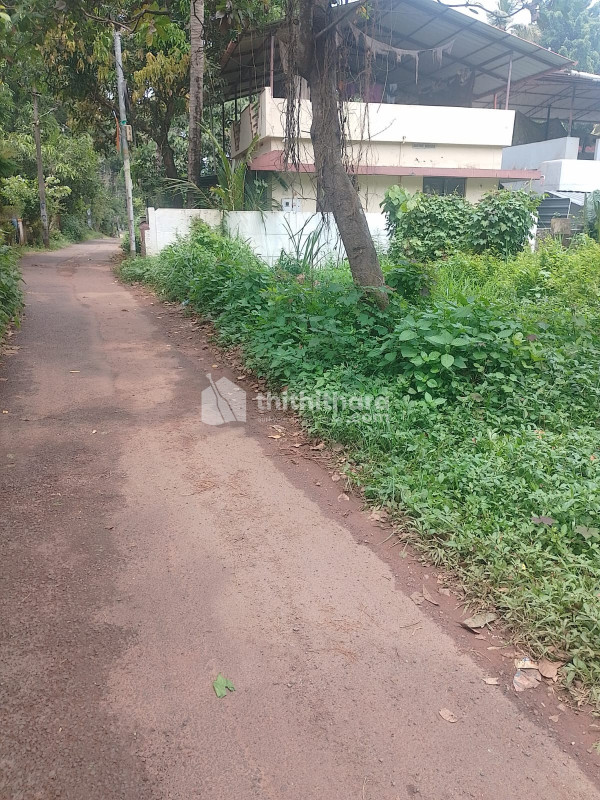 Land For Sale In Amala Thrissur