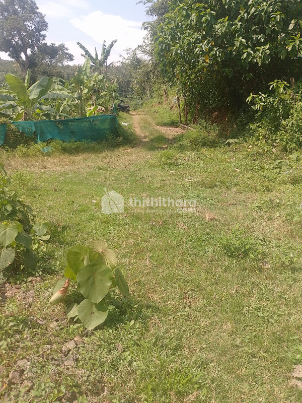 Land For Sale In Poomala Thrissur