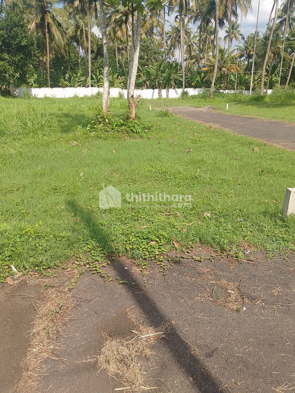 Land For Sale In Thrissur 