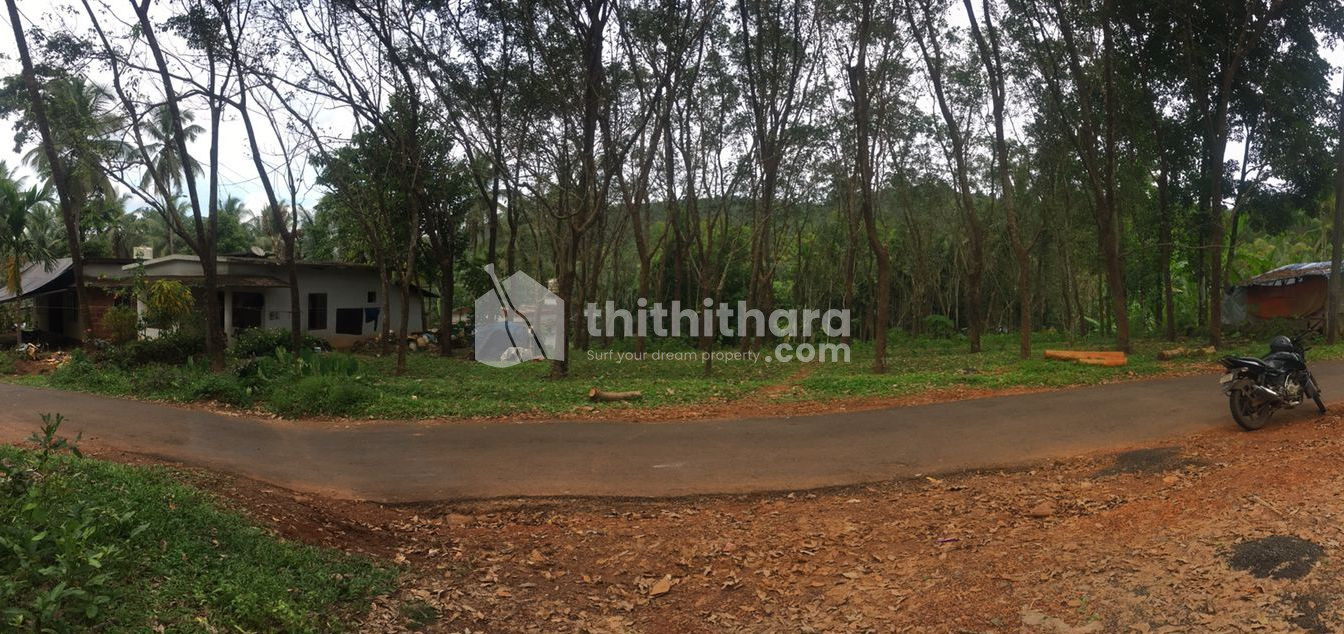 Residential Plot for Sale in Alakode, Kannur