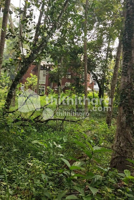 കാലിക്കറ്റ് യൂണിവേഴ്സിറ്റിക്ക് അടുത്ത് സ്ഥലം വിൽപ്പനക്ക് 