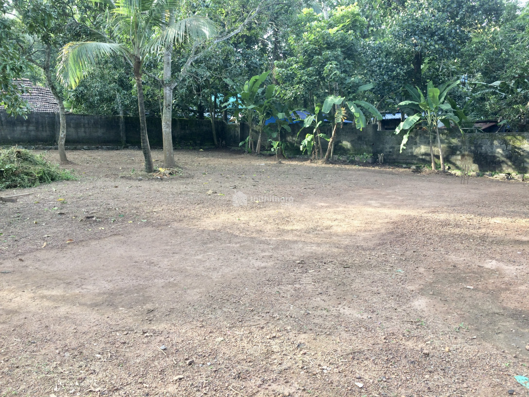 11 cent for Sale Near Parippally Medical college 