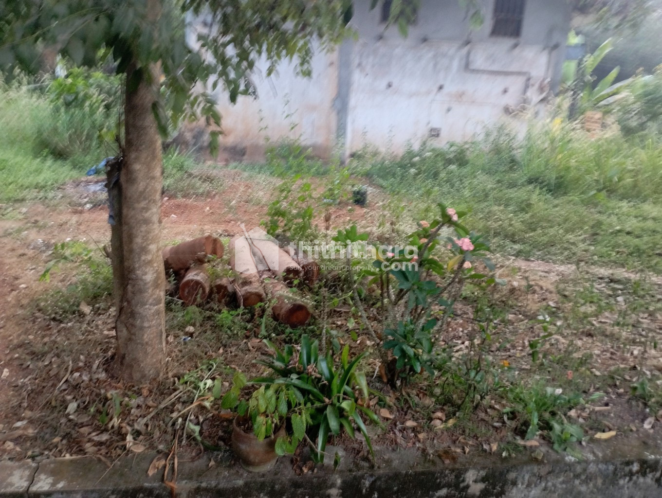 Residential land for sale Eachur Kannur