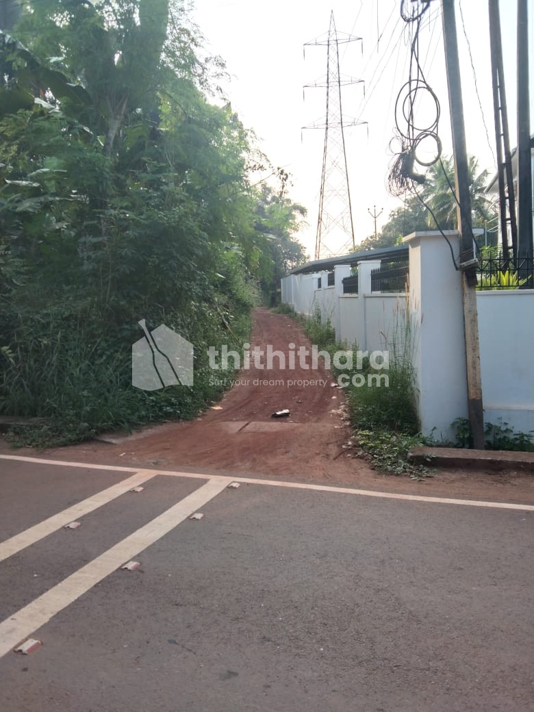Premium Home Plot For Sale in Pachapoika kuthuparamba