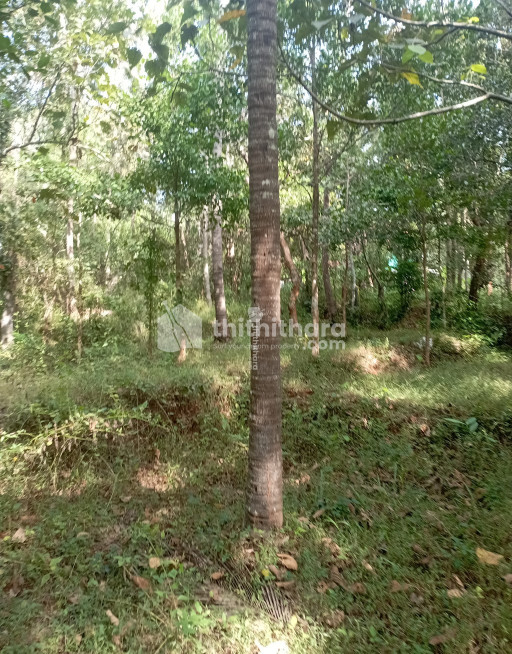 Residential land for sale in  Kannur, Eachur 