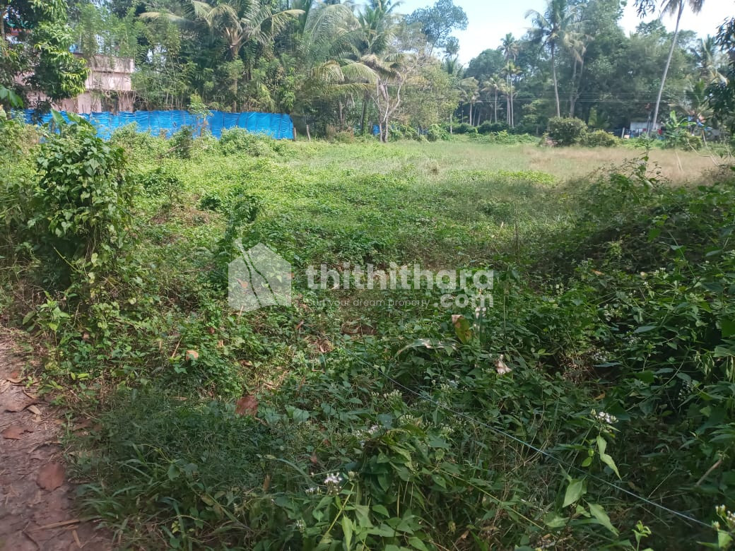 House plot for Sale  in Thycattusserry, Alappuzha