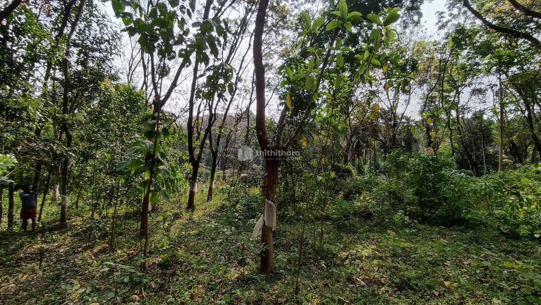 Residential plot for sale in Kaninadu, Kunnathnadu