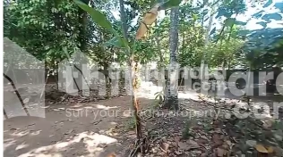 Land for sale in Pattom , Trivandrum