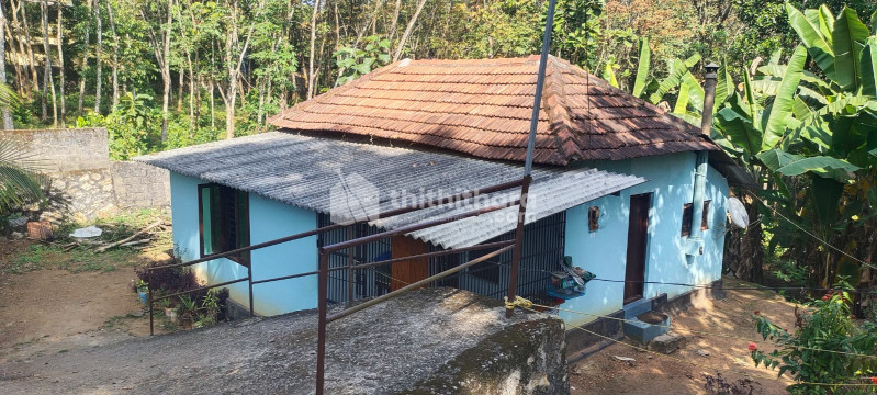 Home and Land for Sale in Adoor, Pathanamthitta