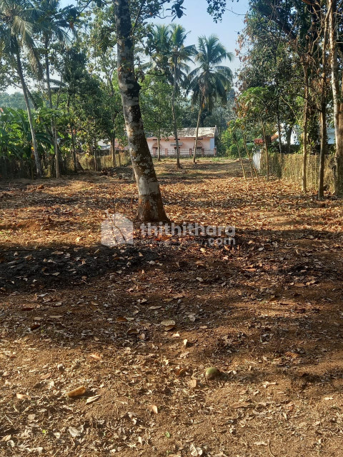 Road front Plot at Anathattu Jn, near Thottiyadu, 1km from Chengannur town, 5 mins from MC Road,