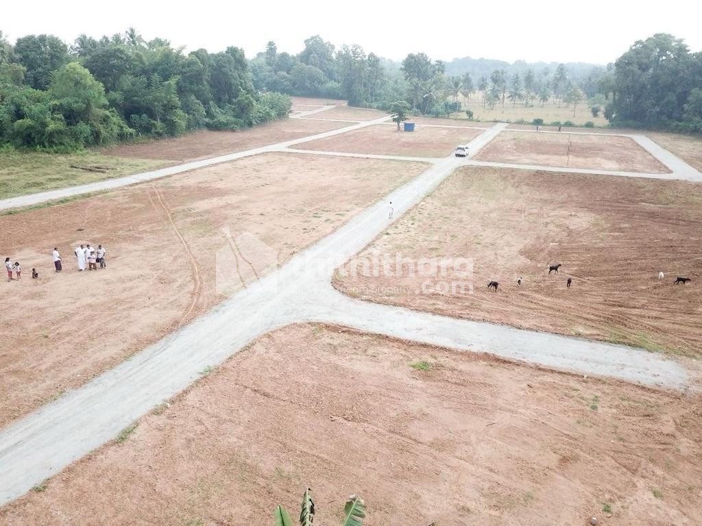 Residential land for sale at Kinasseri Palakkad