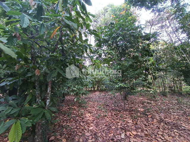 Residential land for Sale in Thiruvalla, Pathanamthitta