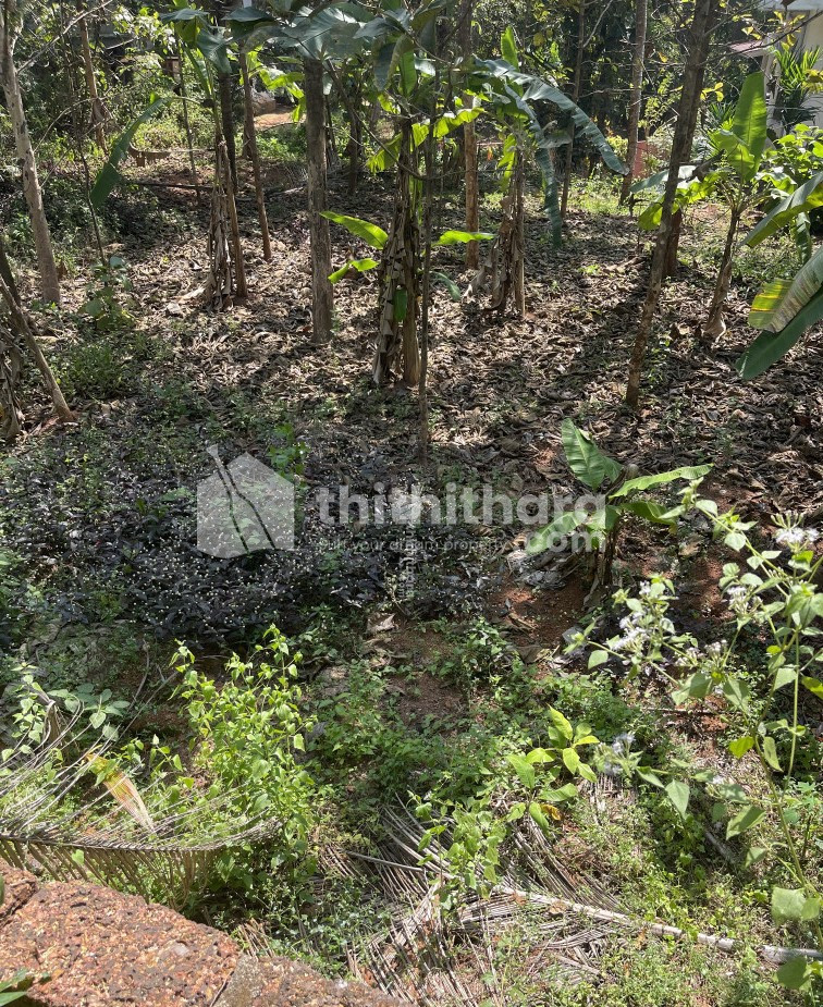 Plot for Sale in Kizhuthally, Kannur