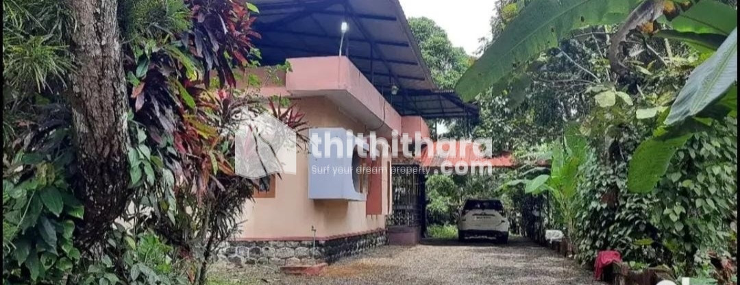 House with plot for sale in kuriannoor, kozhencherry Pathannamthitta