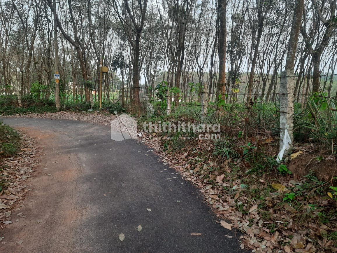 Commercial Plot for Sale in Thullimanoor, Trivandrum
