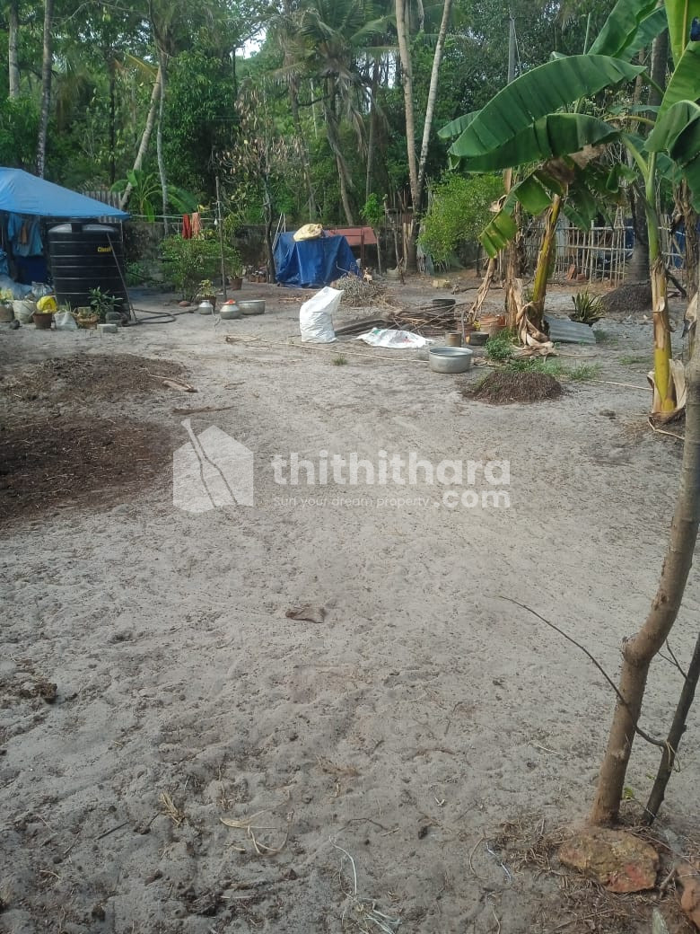 Residential Land for Sale in Cherthala, Alappuzha