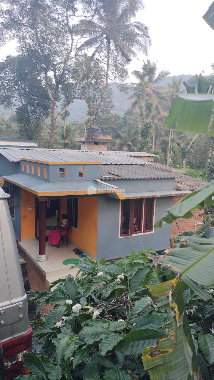 House for Sale in Kattappana, Idukki